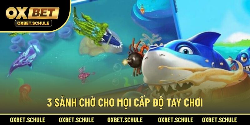 3 Sảnh Chờ Cho Mọi Cấp Độ Tay Chơi