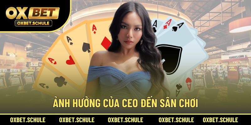 Ảnh hưởng của CEO Trần Minh Thảo đến nhà cái