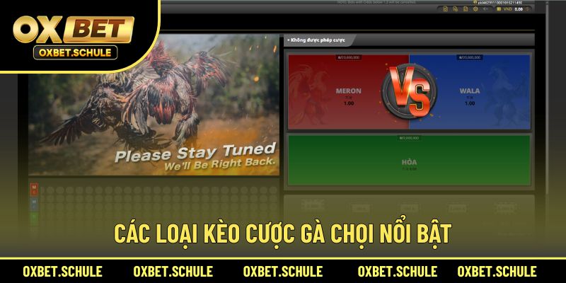 Chia sẻ 3 kèo cược chính ở nhà cái