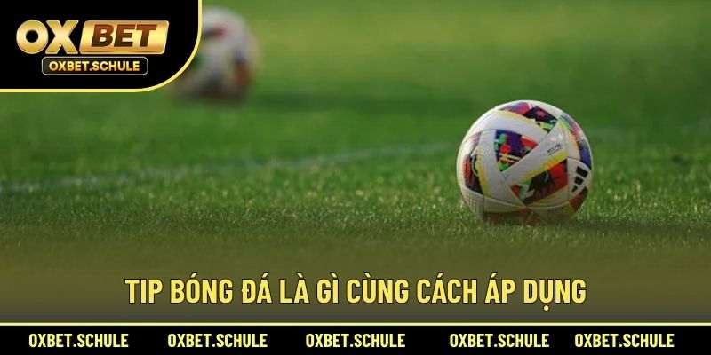 Tip Bóng Đá Là Gì Cùng Cách Áp Dụng