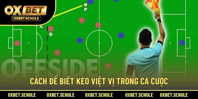 Cách Để Biết Kèo Việt Vị Trong Cá Cược