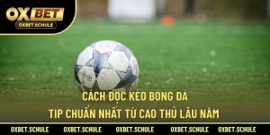 cách đọc kèo bóng đá