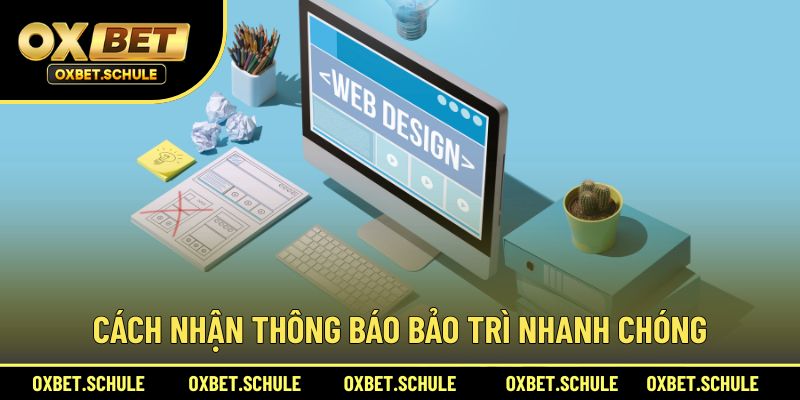 Những cách update thông tin sân chơi bảo dưỡng