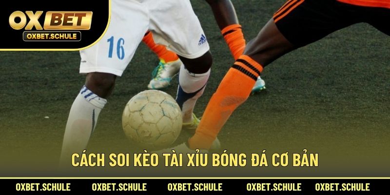 Cách Soi Kèo Tài Xỉu Bóng Đá Cơ Bản