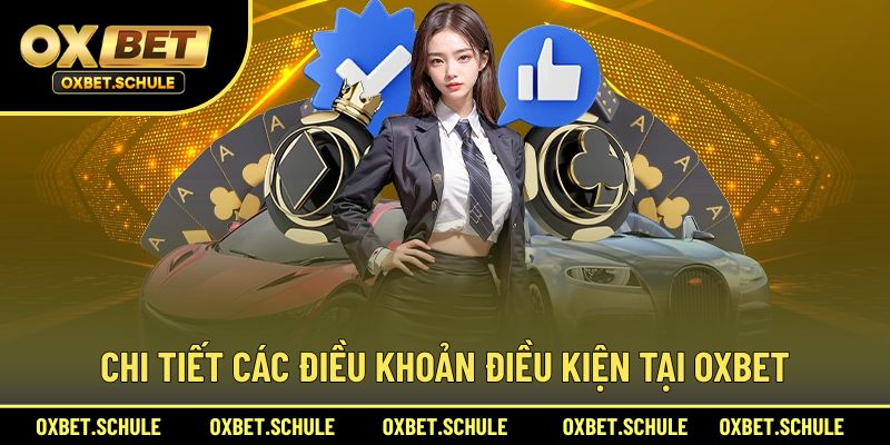Nội dung các điều khoản điều kiện quan trọng