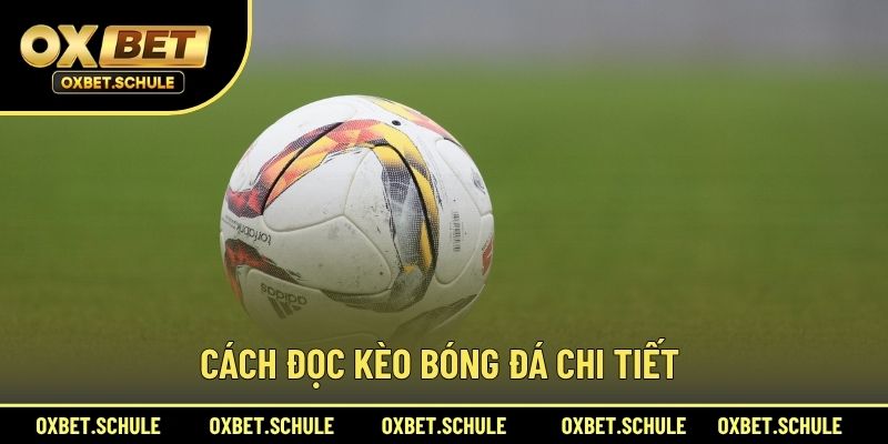 Cách Đọc Kèo Bóng Đá Chi Tiết 