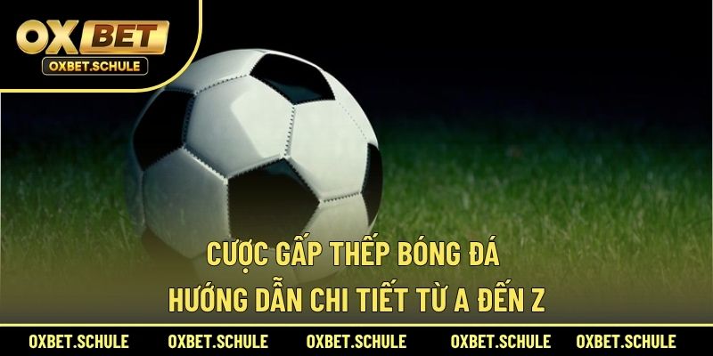 Cược gấp thếp bóng đá