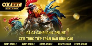 Đá gà Campuchia online
