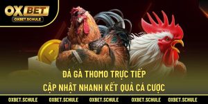 đá gà Thomo trực tiếp