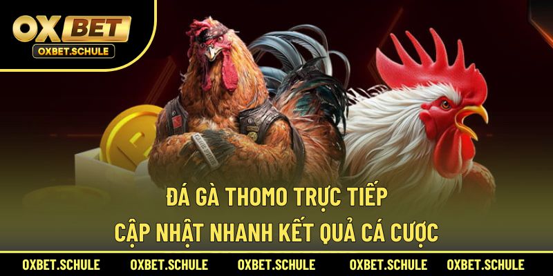 đá gà Thomo trực tiếp