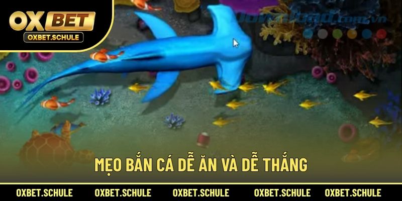Mẹo Bắn Cá Dễ Ăn Và Dễ Thắng