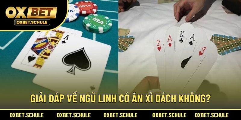 Giải Đáp Về Ngũ Linh Có Ăn Xì Dách Không?