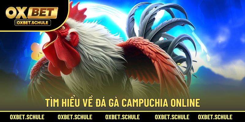 Tìm hiểu về đá gà Campuchia online hấp dẫn