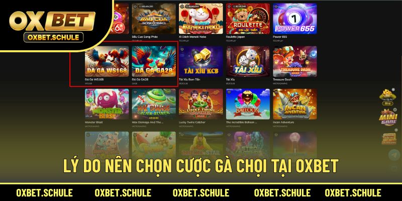 Nhiều người thích cược đấu chọi ở nhà cái