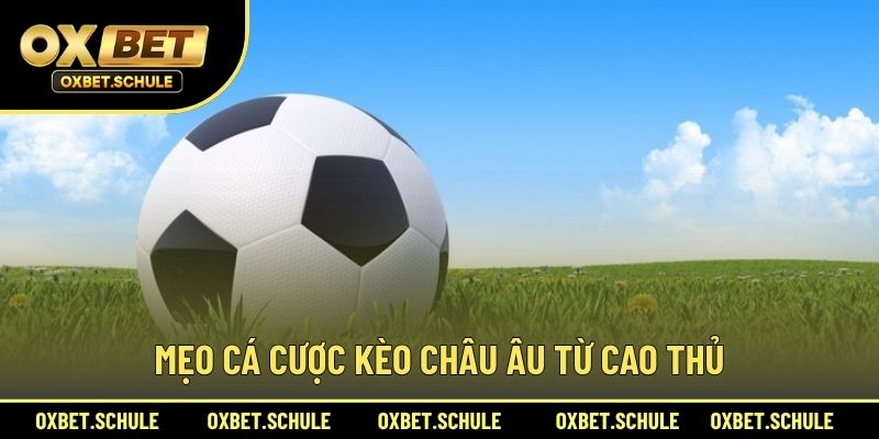 Mẹo Cá Cược Kèo Châu Âu Từ Cao Thủ