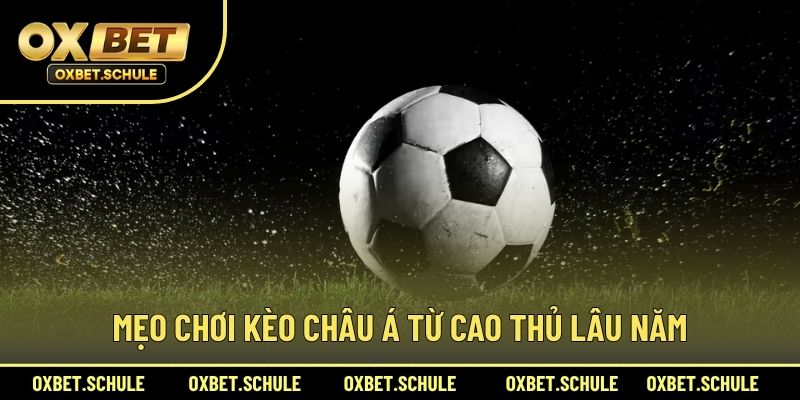 Mẹo Chơi Kèo Châu Á Từ Cao Thủ Lâu Năm