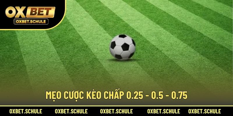 Mẹo Cược Kèo Chấp 0.25 - 0.5 - 0.75
