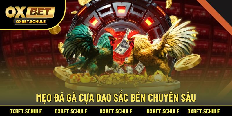 Mẹo đá gà cựa dao sắc bén chuyên sâu