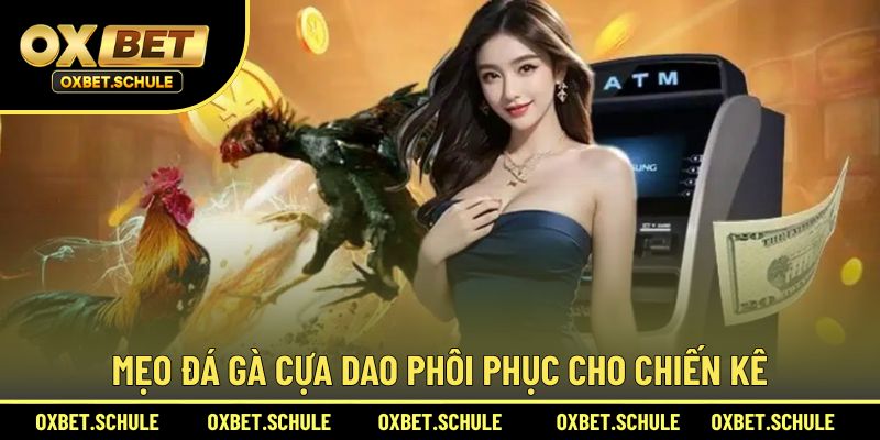 Mẹo đá gà cựa dao phục hồi cho chiến kê