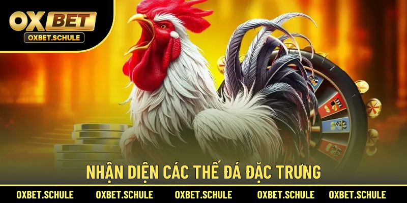 Cách nhận diện các thế đá đặc trưng
