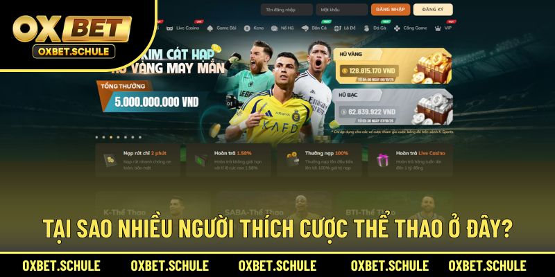 Khám phá sức hút mà sảnh thể thao mang lại