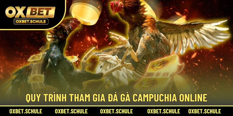 Quy trình tham gia đá gà Campuchia đơn giản