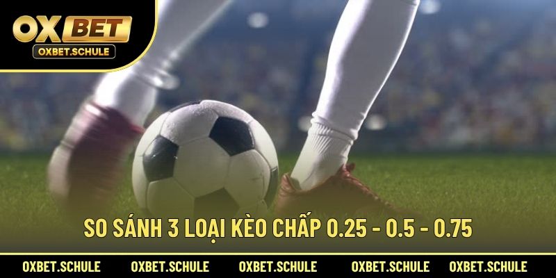 So Sánh 3 Loại Kèo Chấp 0.25 - 0.5 - 0.75