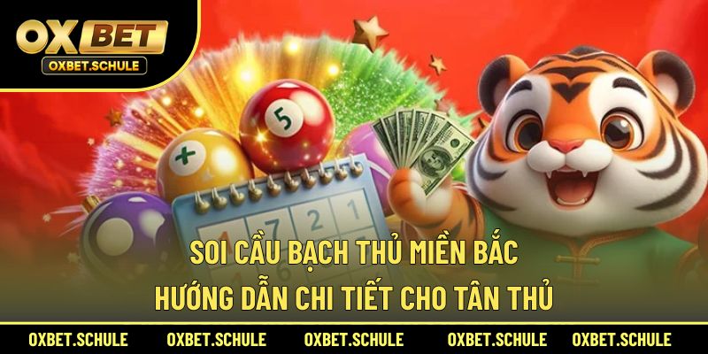 Soi Cầu Bạch Thủ Miền Bắc
