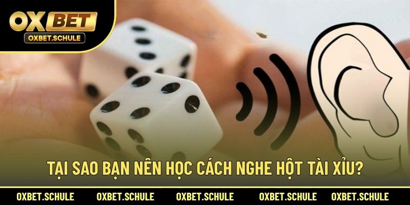 Tại Sao Bạn Nên Học Cách Nghe Hột Tài Xỉu?