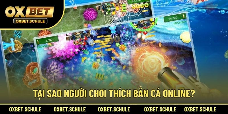 Tại Sao Người Chơi Thích Bắn Cá Online?