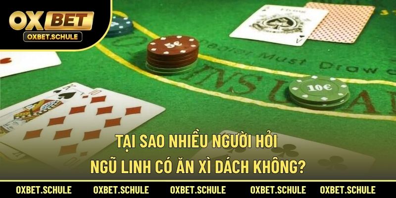 Tại Sao Nhiều Người Hỏi Ngũ Linh Có Ăn Xì Dách Không?