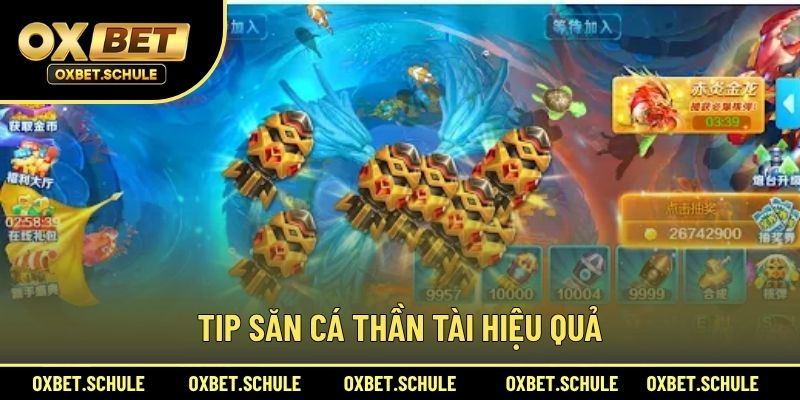 Tip Săn Cá Thần Tài Hiệu Quả