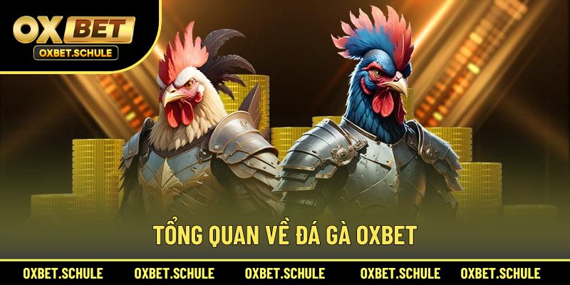 Sơ lược chung về đá gà OXBET