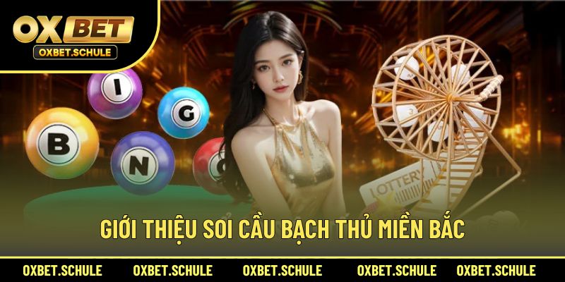 Giới thiệu về soi cầu bạch thủ miền Bắc