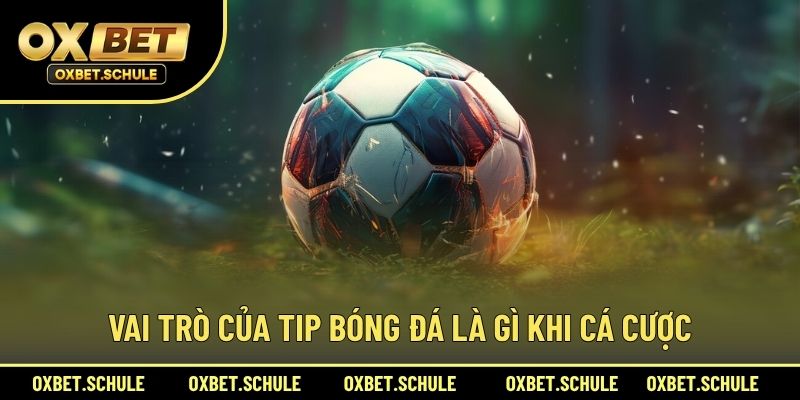 Vai Trò Của Tip Bóng Đá Là Gì Khi Cá Cược