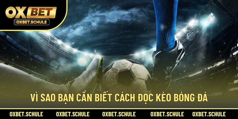 Vì Sao Bạn Cần Biết Cách Đọc Kèo Bóng Đá